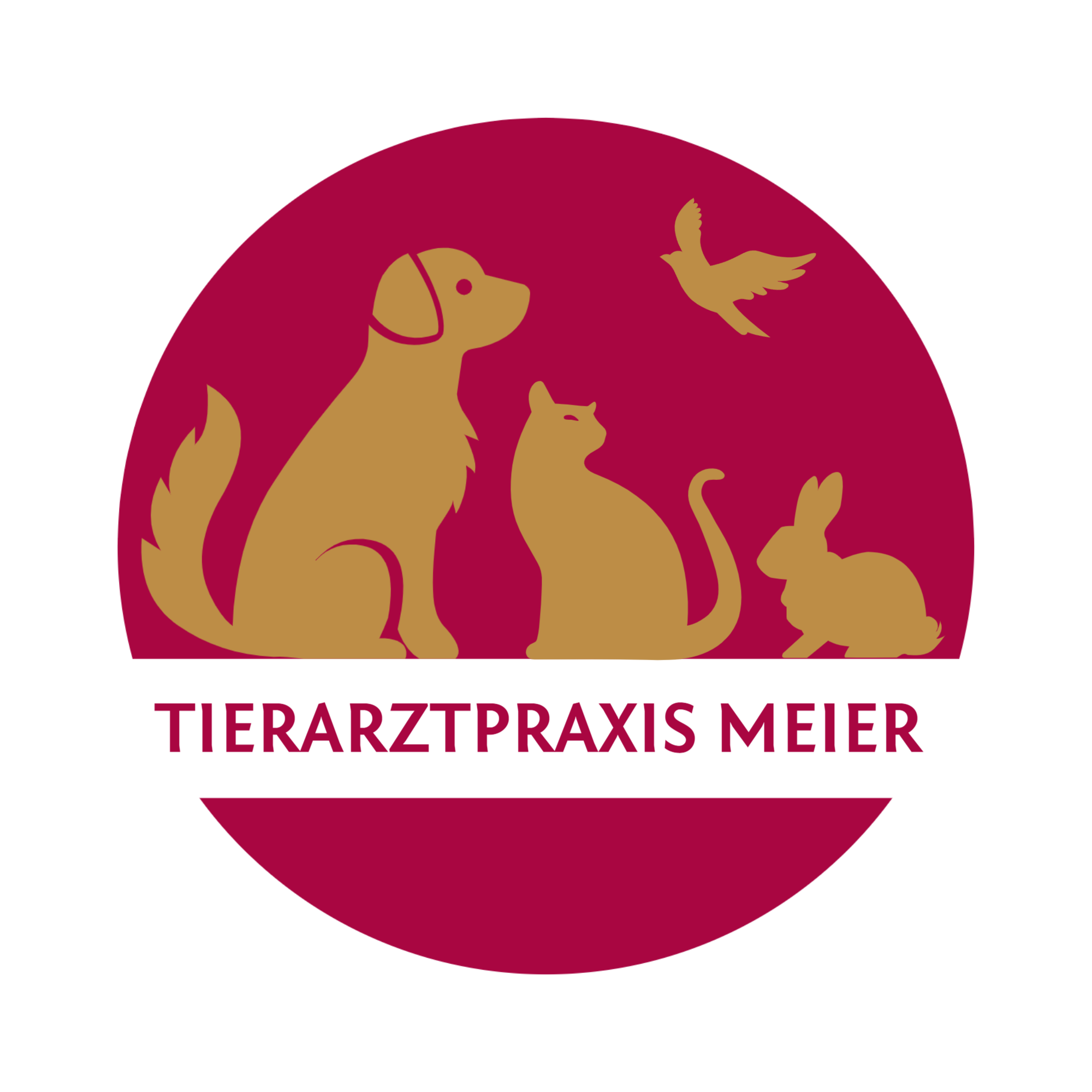 Tierarztpraxis Meier